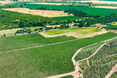 Colchagua Vadi Manzaralı