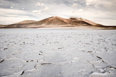 Salt crust in the shore of lagoon and salt lake Tuyajto, Altiplano (High Andean Plateau), Los Flamencos National Reserve, Atacama desert, Antofagasta Region, Chile, South America clipart