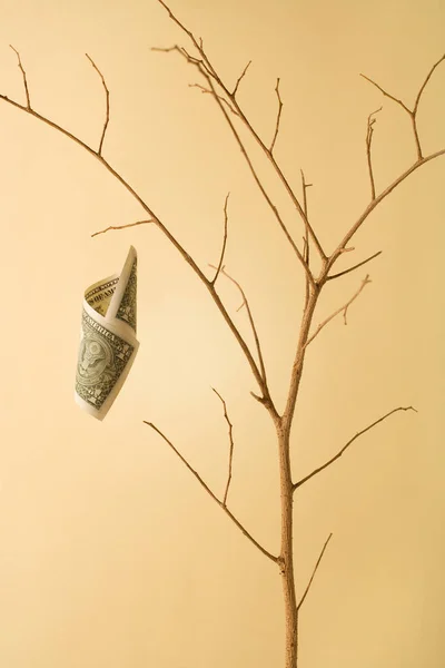 Image Conceptuelle Arbre Monnaie Sèche Avec Seul Billet Gauche — Photo