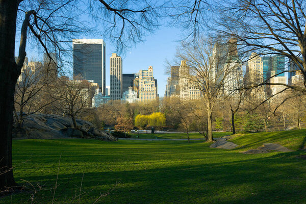 Skyline of Midtown Manhattan from Central Park, New York City, New York, USA