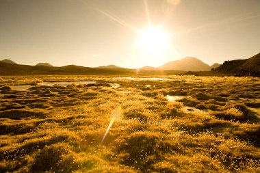 Vegas de Quepiaco Tuz Gölü ve lagün 4400m, Atacama Çölü, Şili, Güney Amerika'nın bir irtifada Altiplano (and yayla)