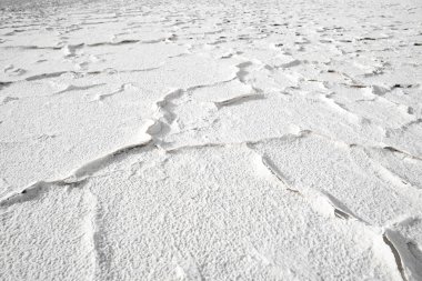 Salt crust in the shore of lagoon and salt lake Tuyajto, Altiplano (High Andean Plateau), Los Flamencos National Reserve, Atacama desert, Antofagasta Region, Chile, South America clipart