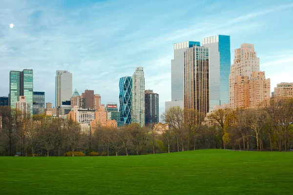 Koyun Çayır Central Park Midtown Manzarası New York City Amerika — Stok fotoğraf