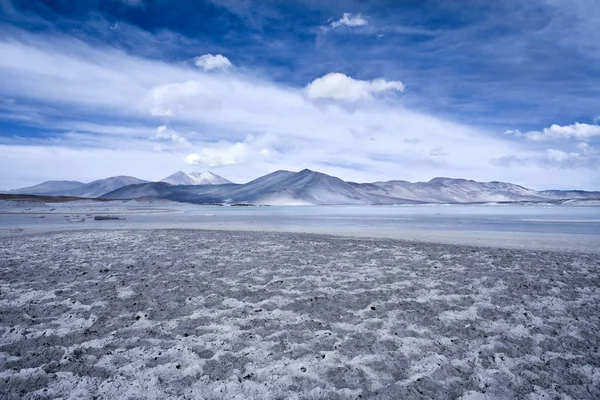 Salar Aguas Calientes 뜨거운 호수에 스페인어 안데스 Altiplano에 Flamencos Antofagasta — 스톡 사진