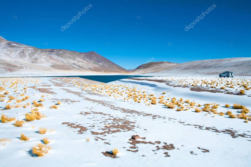 Miniques Lagoon in the Altiplano (High Andean Plateau) at an altitude of 4350m, Los Flamencos National Reserve, Atacama desert, Antofagasta Region, Chile, South America