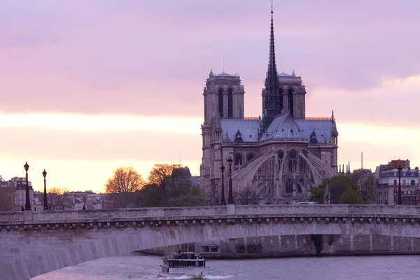 Cattedrale Notre Dame Sull Ile Cite Pont Tournelle Sulla Senna — Foto Stock