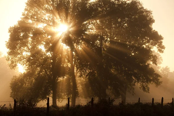 Villarrica Pucon Araucania Bölgesi Şili Güney Amerika Bir Çiftlik Güneş — Stok fotoğraf
