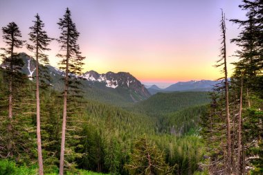 Panoramik Rainier Dağı Milli Parkı, Washington State, ABD