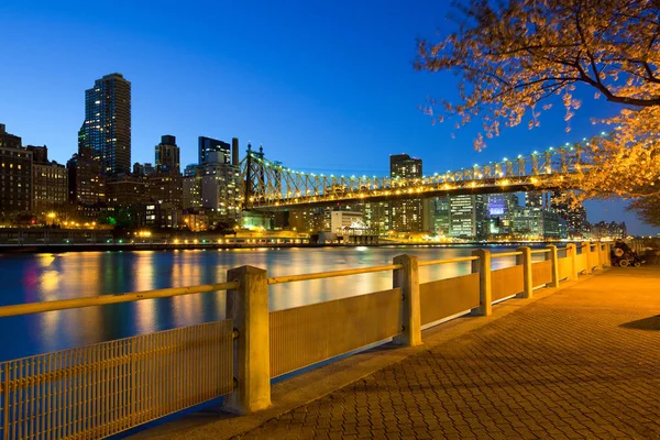 Shore Roosevelt Island Queensboro Bridge Manhattan New York Usa — Foto Stock