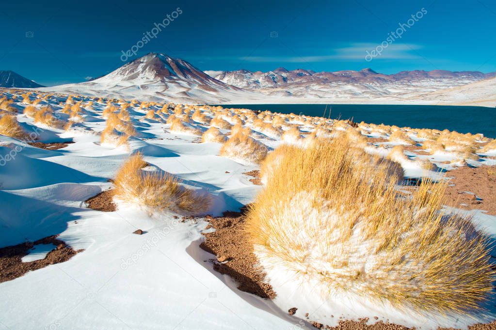 Laguna Miscanti (Miscanti Lagoon) and Cerro Miscanti (Miscanti hill) in the Altiplano (High Andean Plateau) at an altitude of 4350m, Los Flamencos National Reserve, Atacama desert, Antofagasta Region, Chile, South America