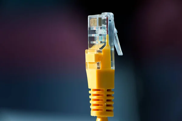 Primer Plano Macro Cable Ordenador Ethernet —  Fotos de Stock