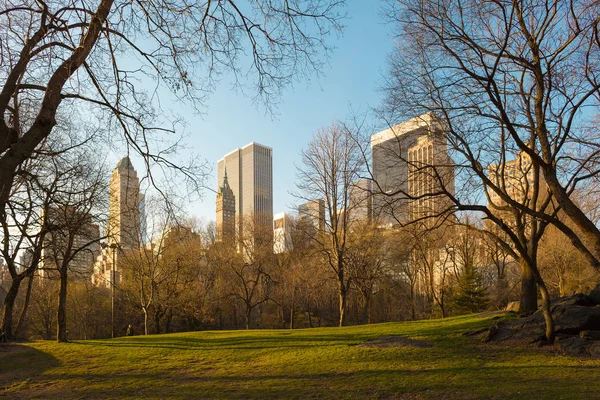 セントラル パーク ニューヨーク ニューヨーク アメリカ合衆国からのミッドタウン マンハッタンのスカイライン — ストック写真