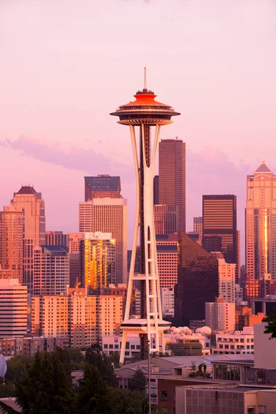 Seattle Washington Usa Juli 2012 Space Needle Och Skyline Downtown — Stockfoto