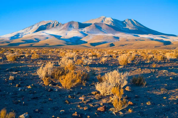 Collines Altiplano Haut Plateau Andin Désert Atacama Chili Amérique Sud — Photo