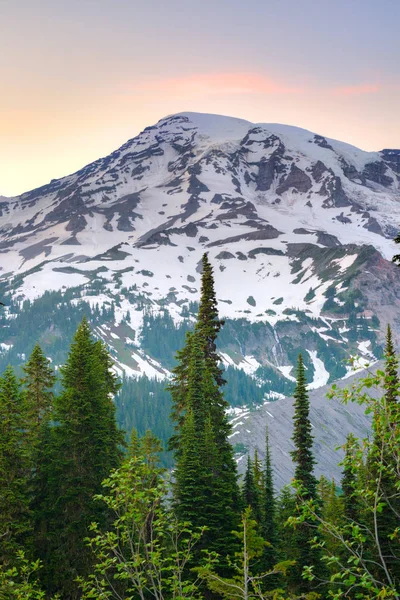 Mount Rainier Κορυφής Στο Εθνικό Πάρκο Mount Rainier Στην Πολιτεία — Φωτογραφία Αρχείου