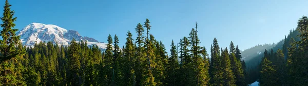 Forest and Mount Rainier at Mount Rainier National Park, Washington State, USA