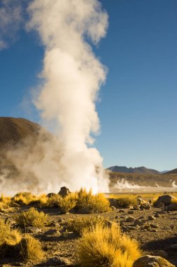 Fumaroles at El Tatio Geysers at an altitude of 4300m, Atacama desert, Antofagasta Region, Chile, South America clipart