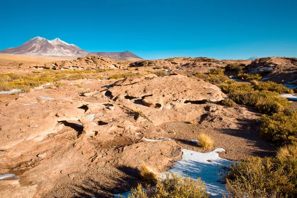 Formaciones Rocosas Lava Seca Con Cerro Miniques Fondo Altiplano Reserva —  Fotos de Stock