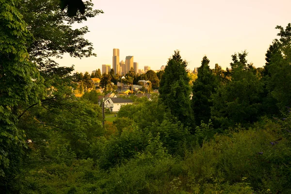 Downtown Skyline Okolicy Mount Baker Rainier Valley District Seattle Stan — Zdjęcie stockowe