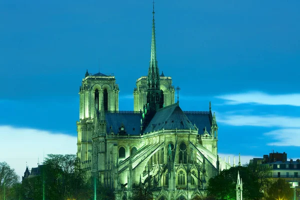 Cattedrale Notre Dame Sull Ile Cite Parigi Francia — Foto Stock