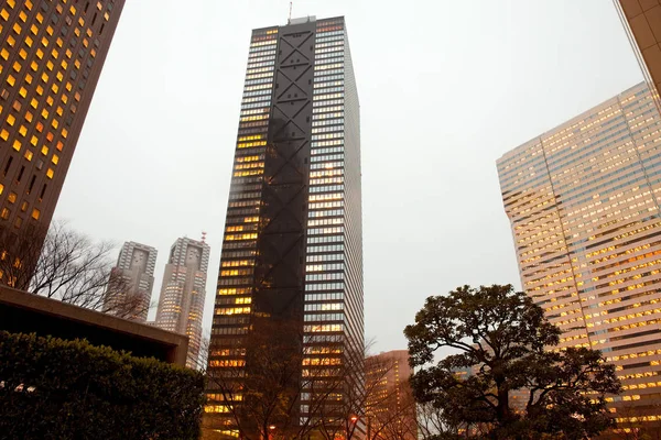 Arranha Céus Modernos Shinjuku Tóquio Região Kanto Honshu Japão — Fotografia de Stock