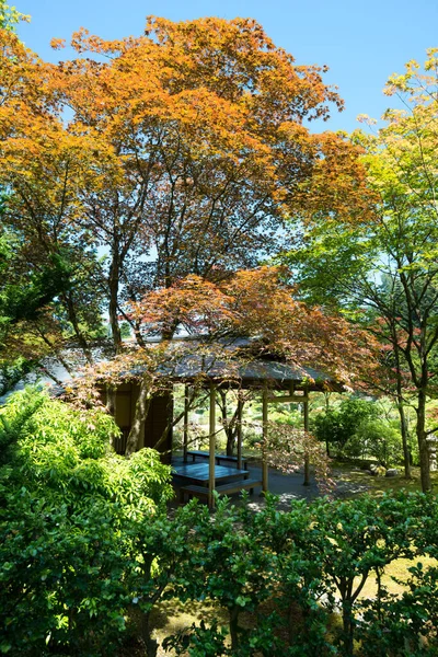 米国ワシントン州シアトルのワシントンパーク樹木園の日本庭園 — ストック写真