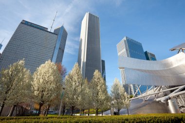 Chicago, Illinois, ABD - Millennium Park 'tan şehir merkezi silüeti.