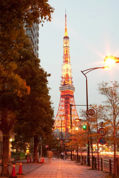 Tokio Region Kanto Honshu Japonia Oświetlony Widok Wieżę Tokio Dzielnicy — Zdjęcie stockowe
