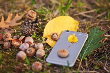Sonbahar kompozisyon. Renkli yaprakları, meşe palamudu ve akıllı telefonu kapat.