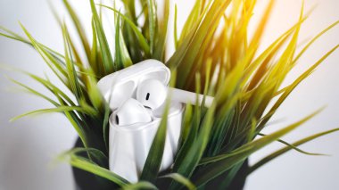 Wireless earphones with box or case on the white background with green leaves.