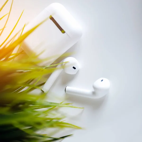 Wireless earphones with box or case on the white background with green leaves.