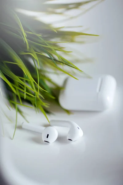 Wireless earphones with box or case on the white background with green leaves.