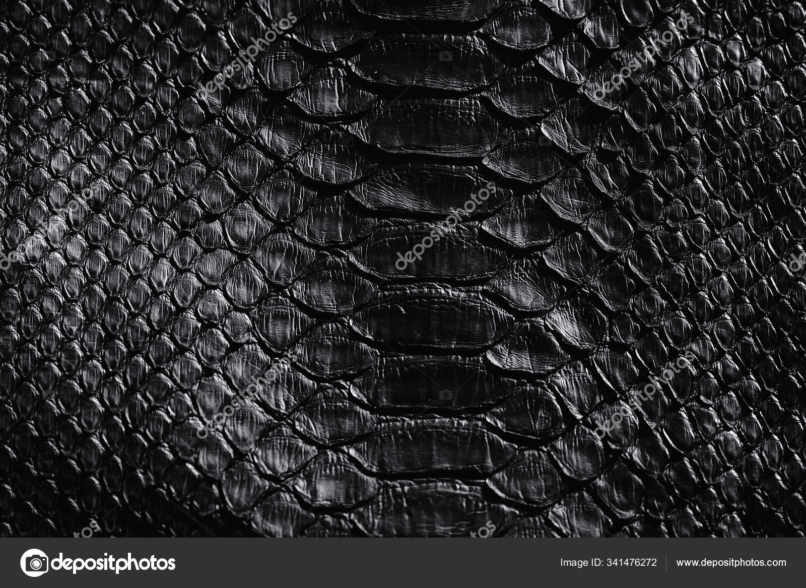 Black Snake Skin Pattern Texture Black Reptile Python Leather Background  Stock Photo by ©Kucheruk 341476272