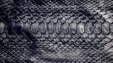 Siyah yılan derisi dokusu. Siyah sürüngen. Python deri arkaplanı. 