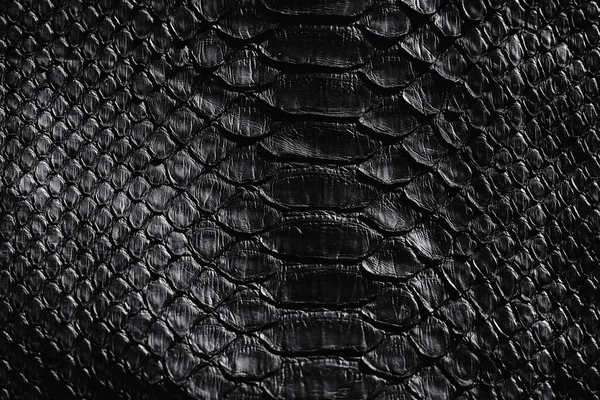 黑蛇皮图案质感 黑色爬行动物Python皮革背景 — 图库照片