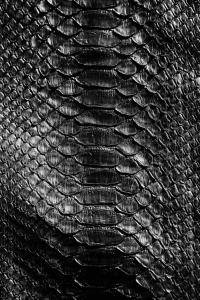 Textura Padrão Pele Cobra Preta Réptil Negro Fundo Couro Python — Fotografia de Stock