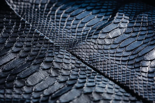 Textura Del Patrón Piel Serpiente Negra Reptil Negro Python Fondo —  Fotos de Stock