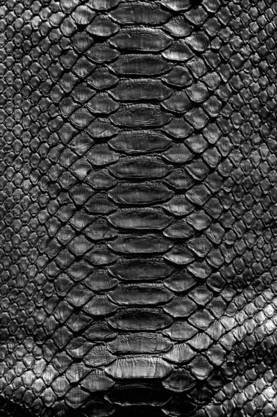 Texture Motif Peau Serpent Noir Reptile Noir Python Fond Cuir — Photo