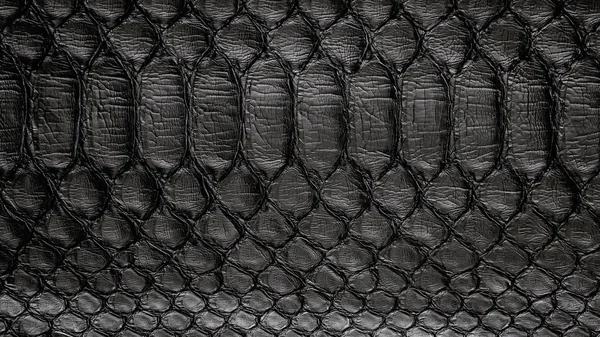 Textura Padrão Pele Cobra Preta Réptil Negro Fundo Couro Python — Fotografia de Stock