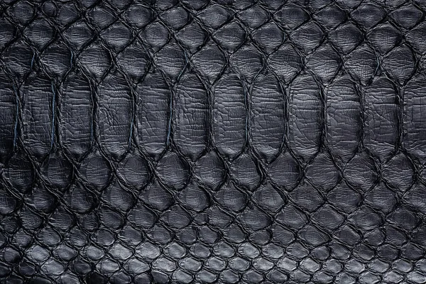 Texture Motif Peau Serpent Noir Reptile Noir Python Fond Cuir — Photo