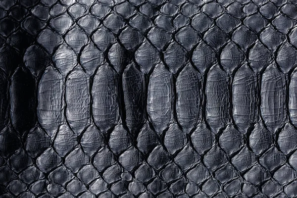 Textur Der Schwarzen Schlangenhaut Schwarzes Reptil Python Leder Hintergrund — Stockfoto
