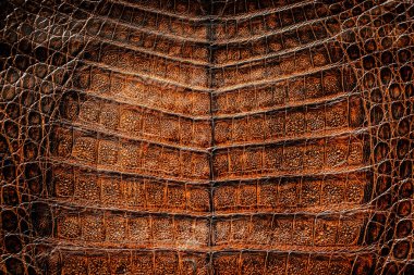 Yılan derisi dokusu. Sürüngen derisi. Python deri arkaplanı. 