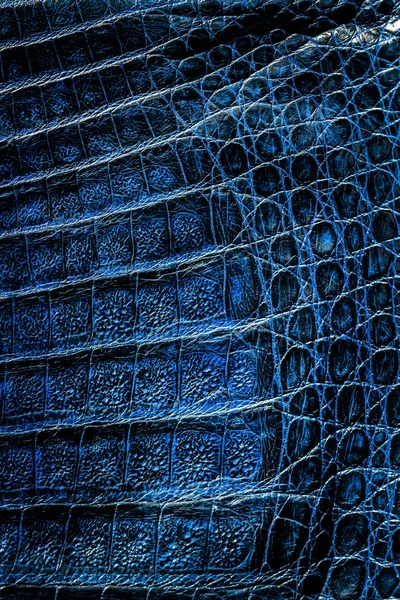 Snake skin pattern texture. Reptile leather. Python leather background.