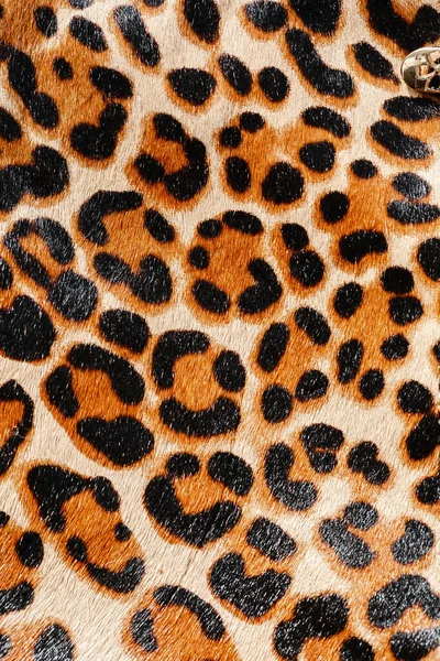 Leopardo Pelliccia Sfondo Dettaglio Texture — Foto Stock
