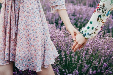 lavanda alanında el lerine dokunmak 