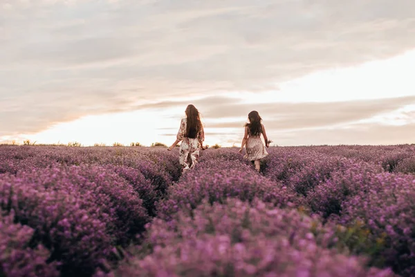 lavanta alanında çalışan kadınlar