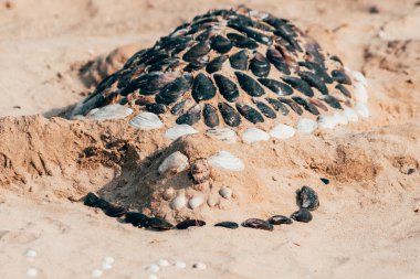 Deniz kenarındaki kumdan kale