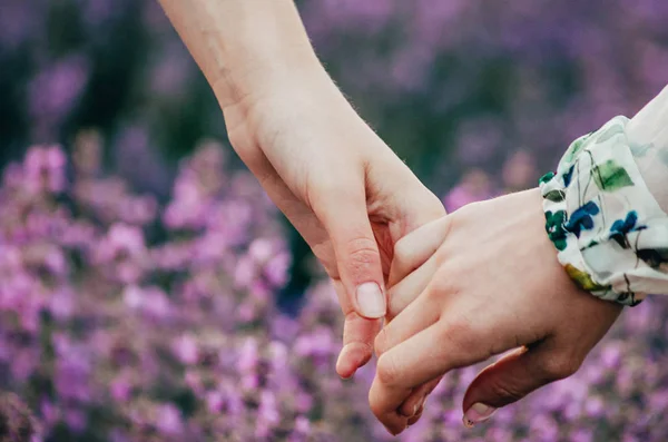 Toucher les mains dans le champ de lavande — Photo