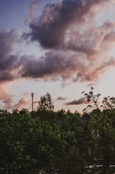 Západ slunce nad parkem — Stock fotografie