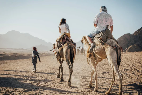 A ride on the camel — Stock Photo, Image